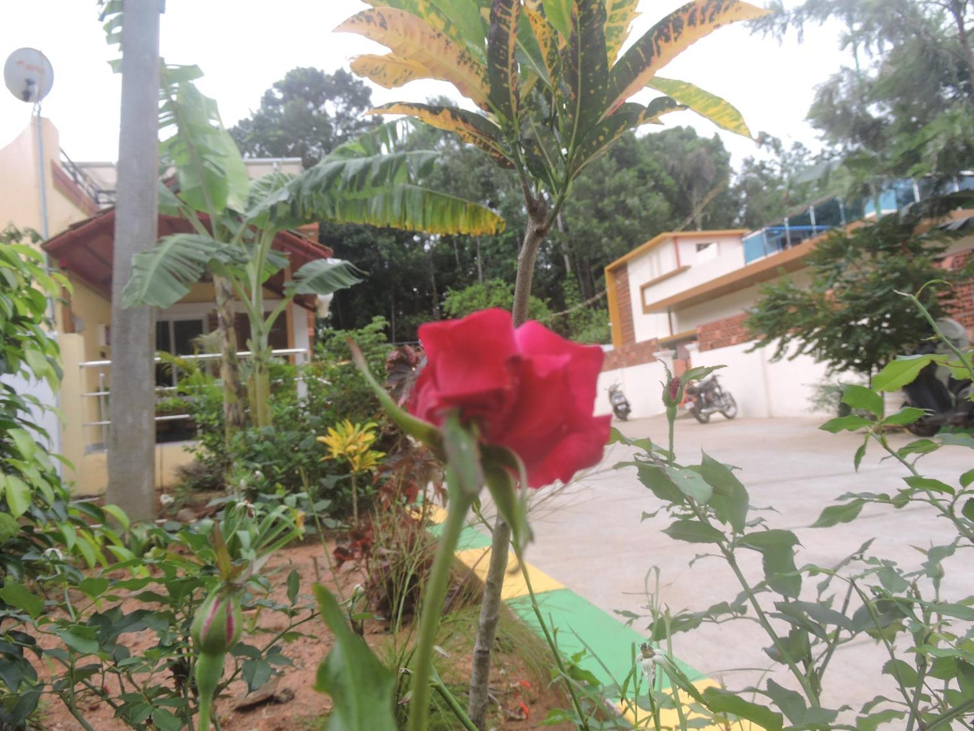 Kanna Garden By Bodhi Bungalows Kolli Hills Luaran gambar
